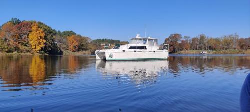 Endeavour 2000 ficha tecnica 